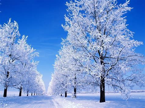 free snowy winter scenes